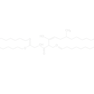 Castor Oil FSG Manufacturer in India